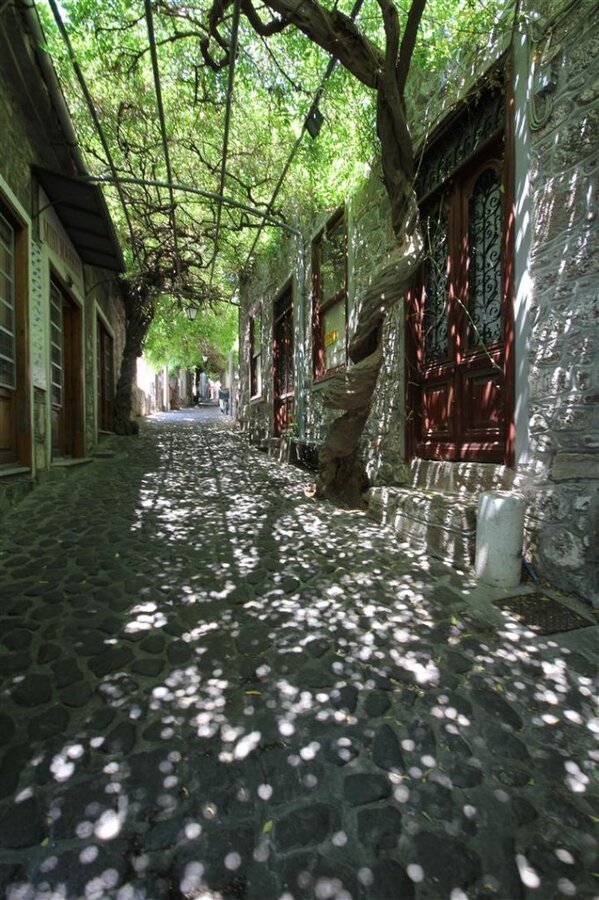 IMG_0137 (Large).JPG