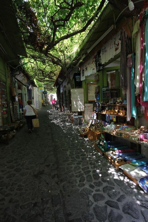 IMG_0138 (Large).JPG