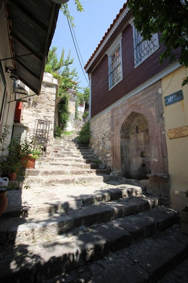 IMG_0142 (Large).JPG