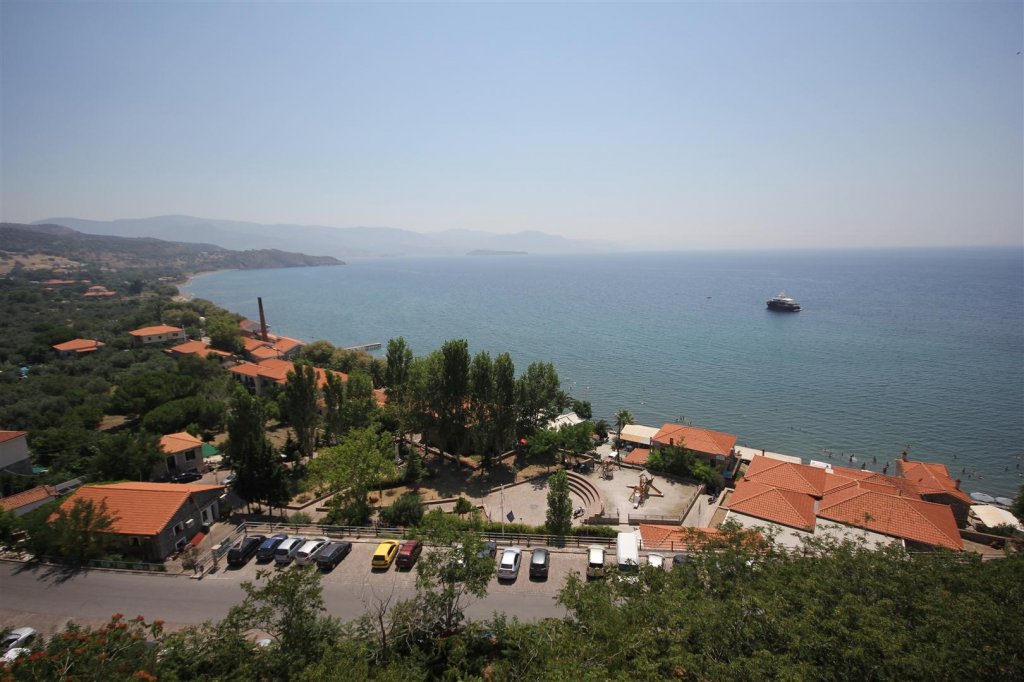 IMG_0150 (Large).JPG