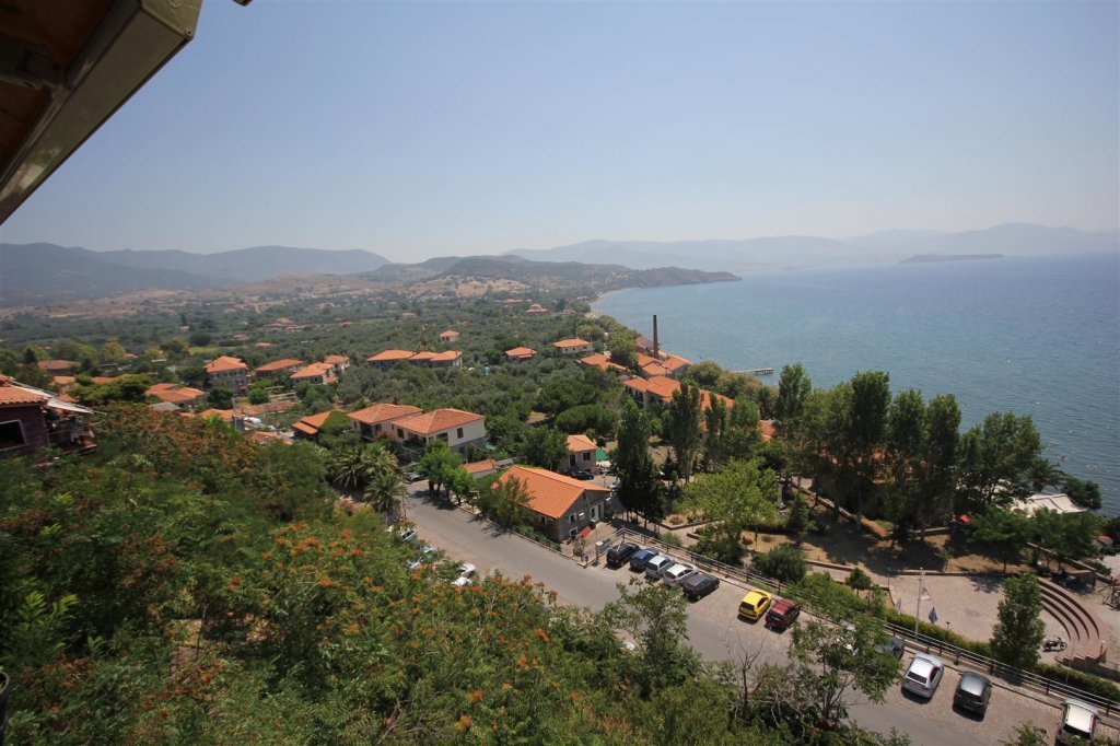 IMG_0151 (Large).JPG