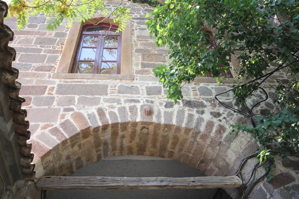 IMG_0158 (Large).JPG