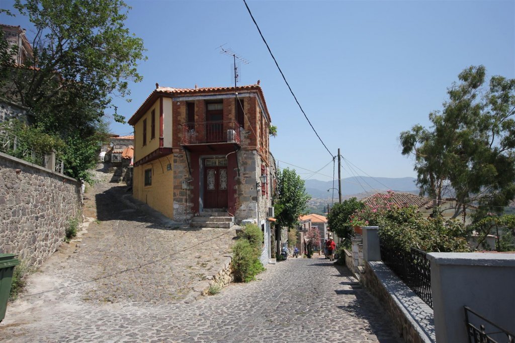 IMG_0167 (Large).JPG