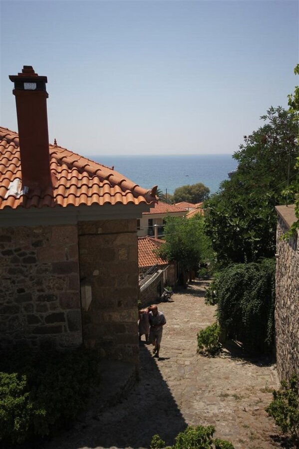 IMG_0168 (Large).JPG