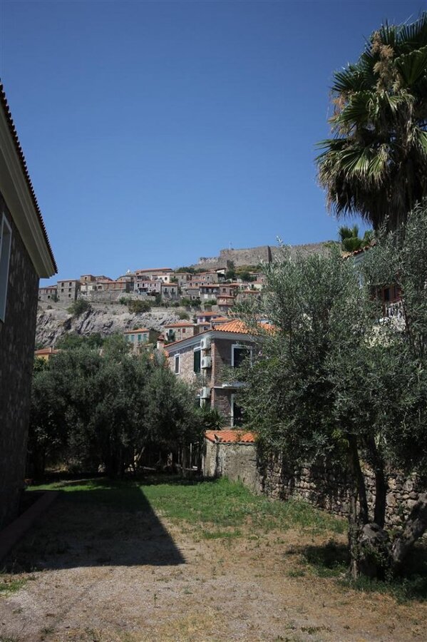 IMG_0177 (Large).JPG