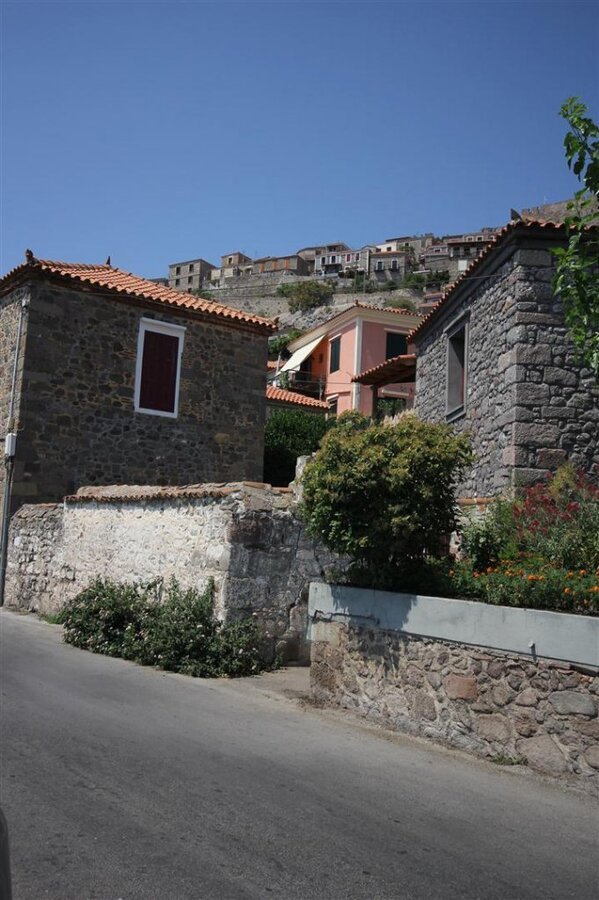 IMG_0178 (Large).JPG