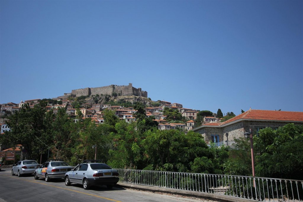 IMG_0179 (Large).JPG