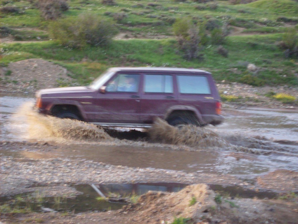 IMG_0180.jpg