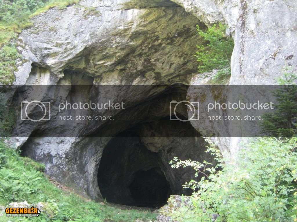 IMG_0200.jpg IMG_0200.jpg