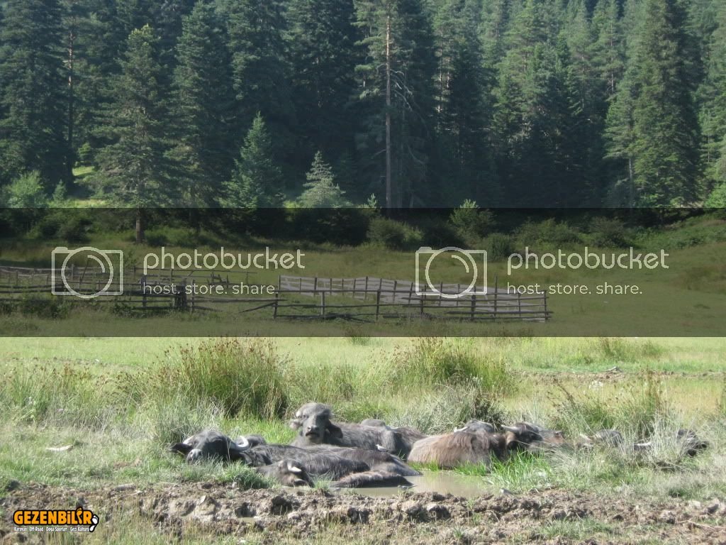 IMG_0207.jpg IMG_0207.jpg