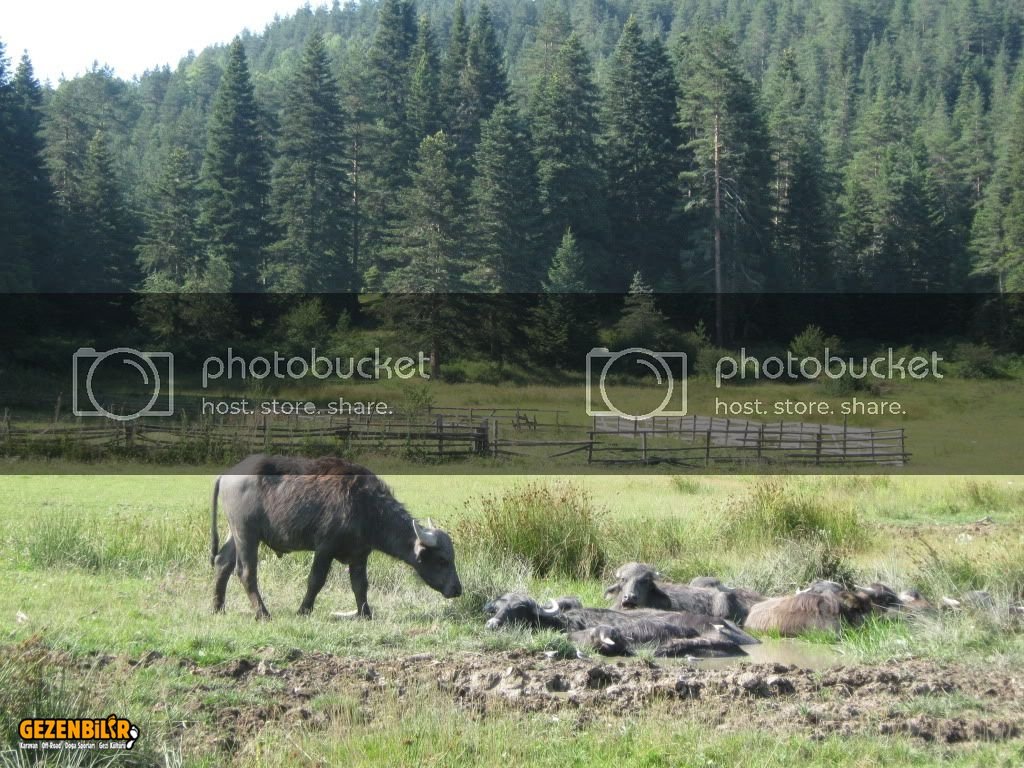 IMG_0208.jpg IMG_0208.jpg