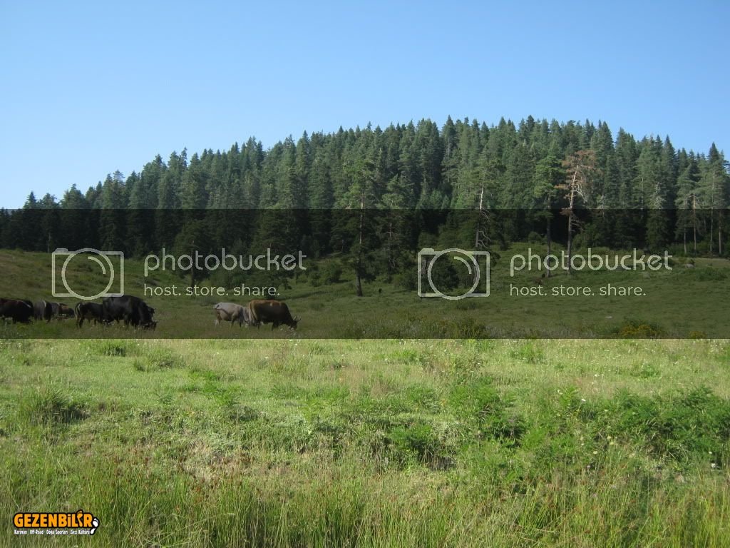 IMG_0209.jpg IMG_0209.jpg