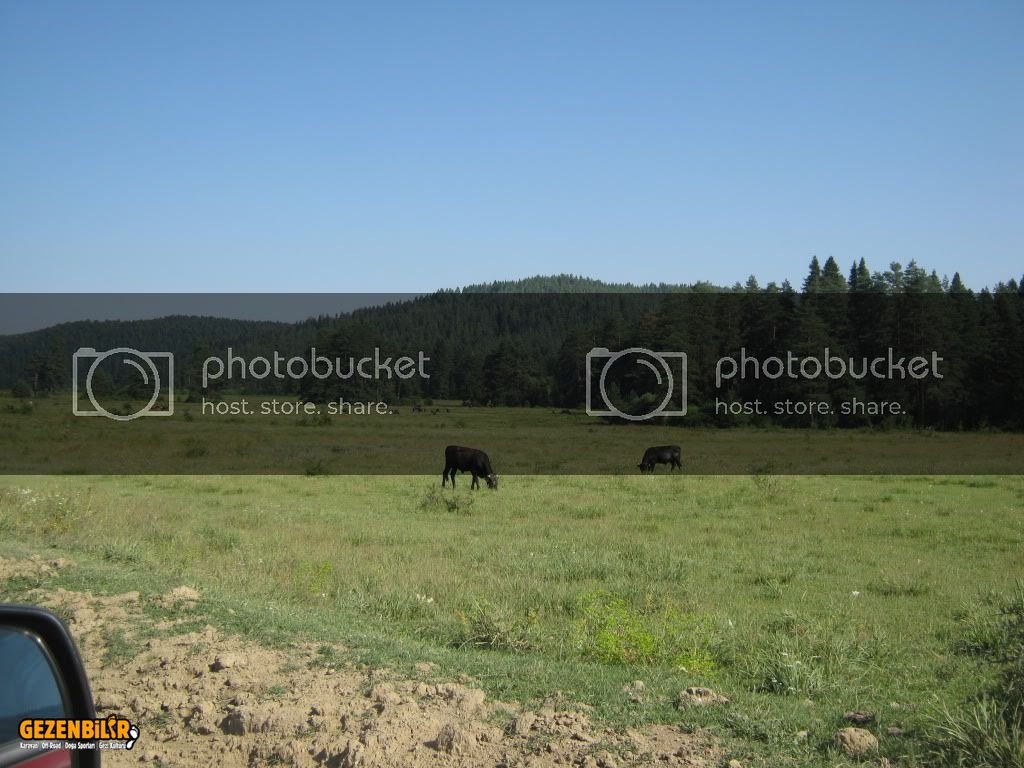 IMG_0210.jpg IMG_0210.jpg