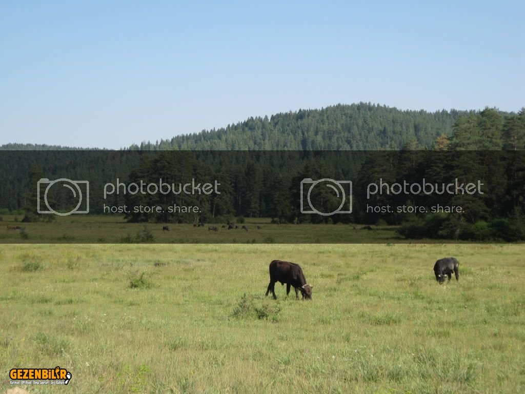 IMG_0211.jpg IMG_0211.jpg