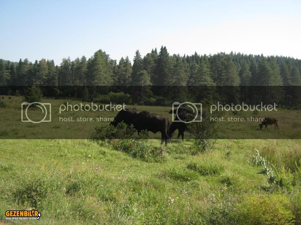 IMG_0212.jpg IMG_0212.jpg