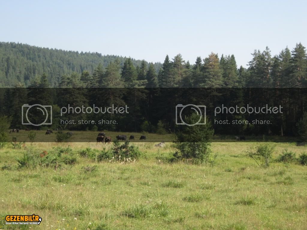 IMG_0213.jpg IMG_0213.jpg