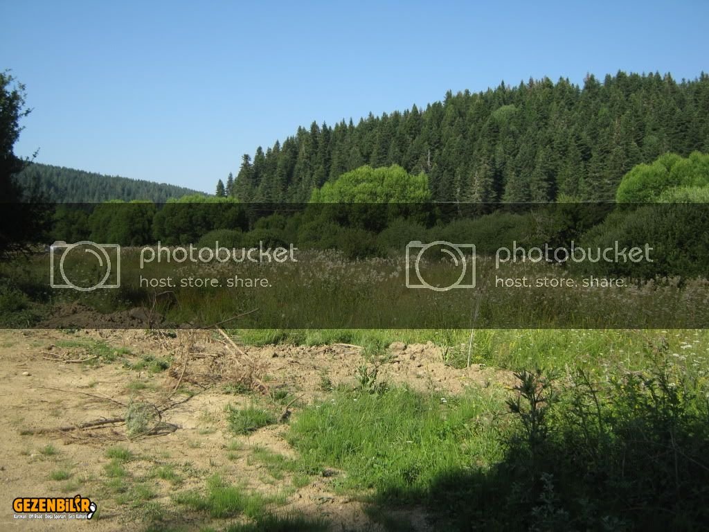 IMG_0214.jpg IMG_0214.jpg