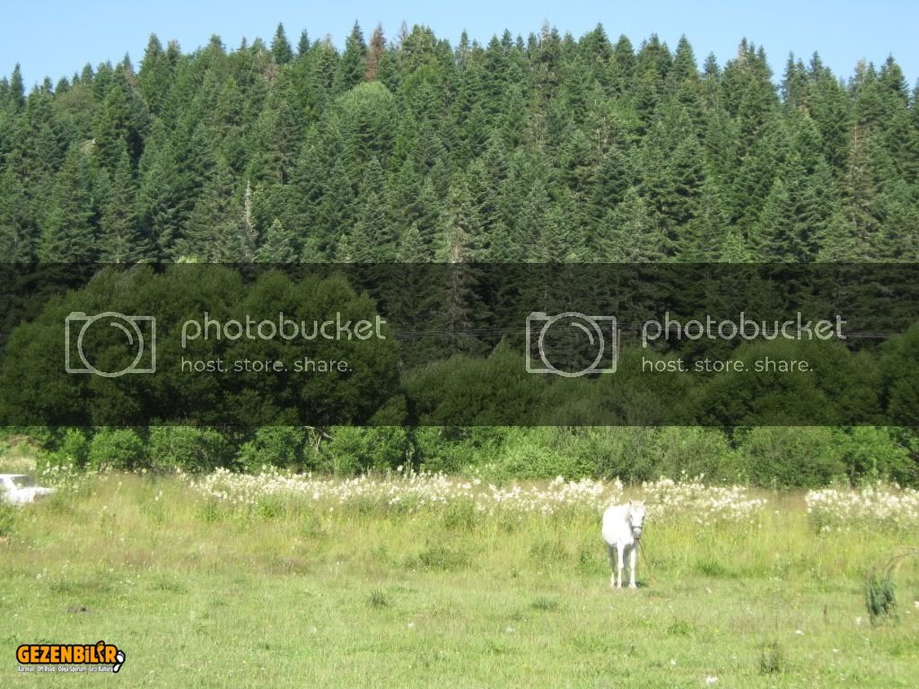 IMG_0216.jpg IMG_0216.jpg