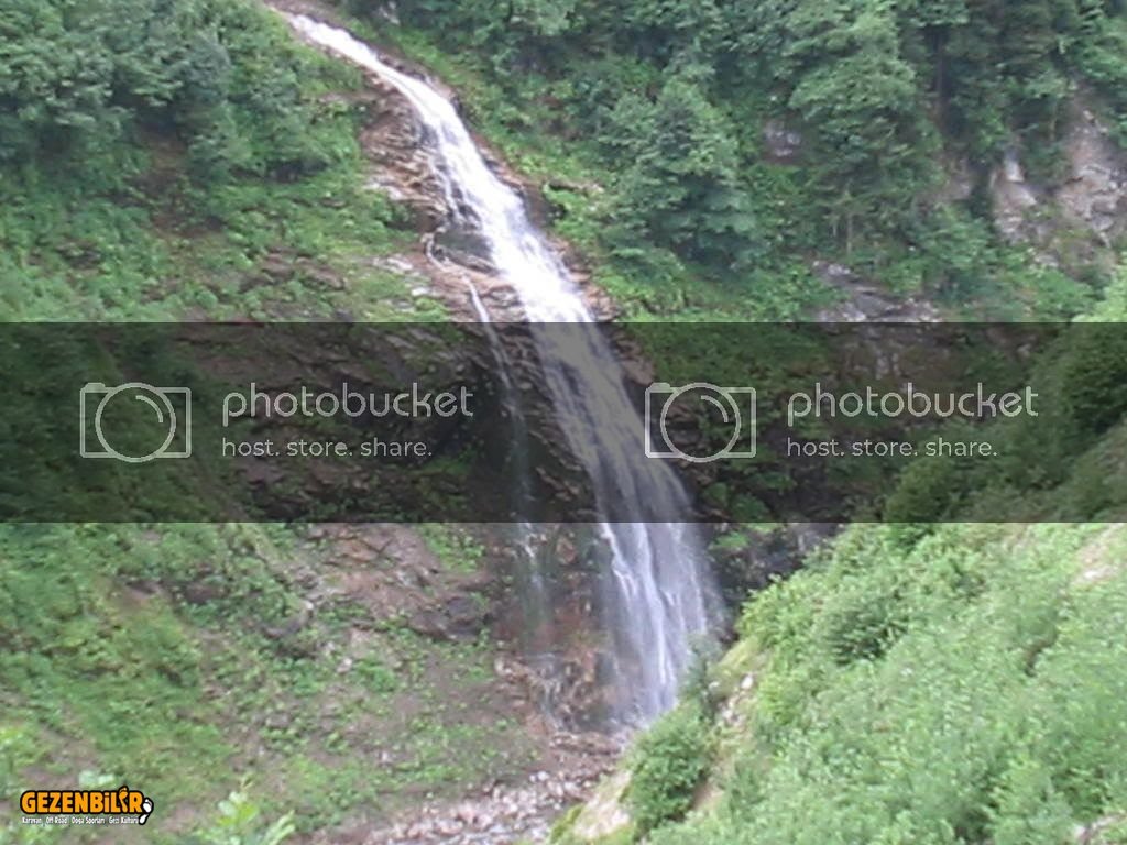 IMG_0278.jpg IMG_0278.jpg