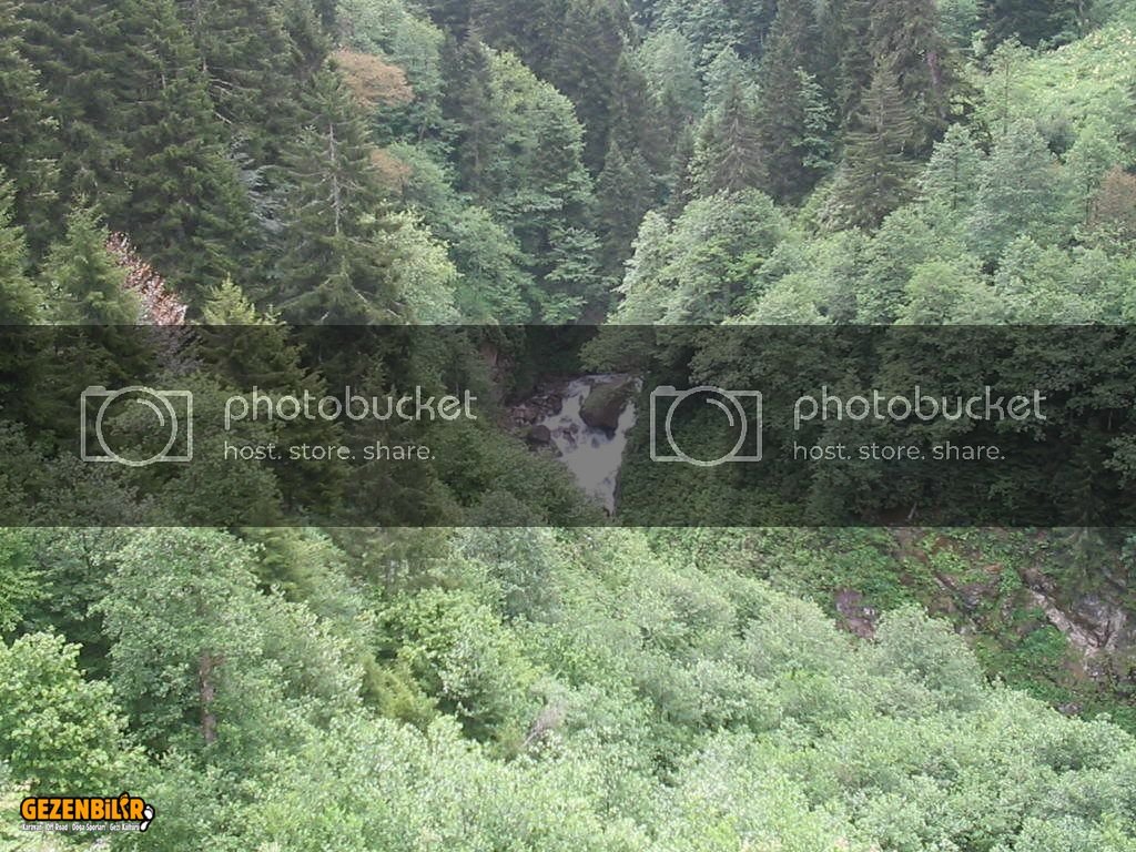 IMG_0280.jpg IMG_0280.jpg