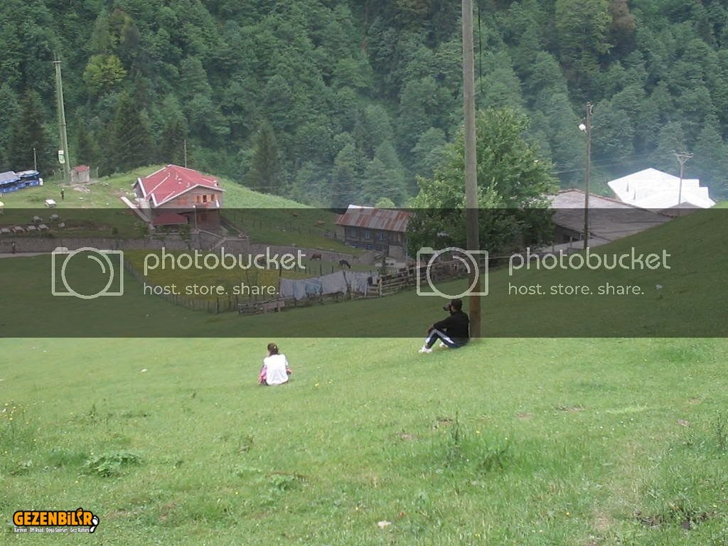 IMG_0288.jpg IMG_0288.jpg