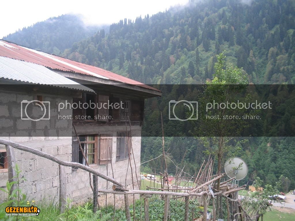 IMG_0289.jpg IMG_0289.jpg