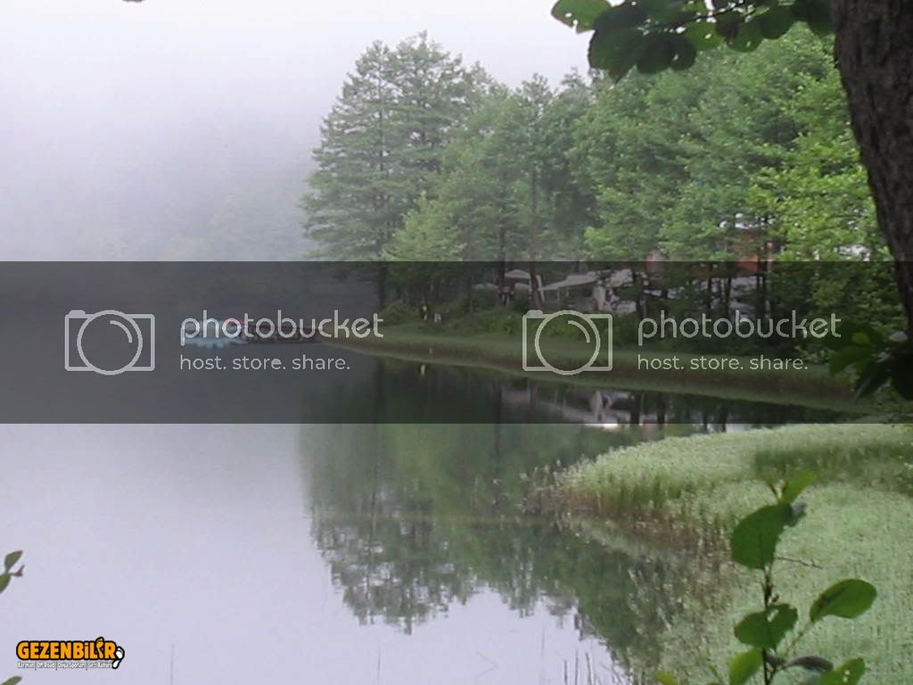 IMG_0308.jpg IMG_0308.jpg