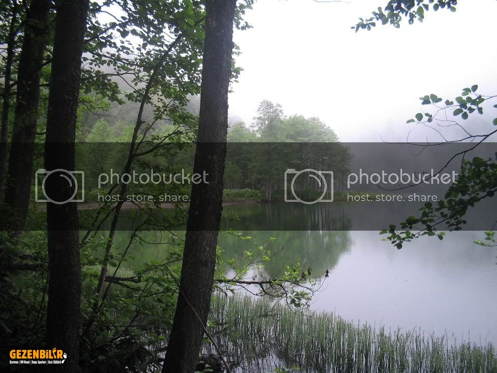 IMG_0309.jpg IMG_0309.jpg