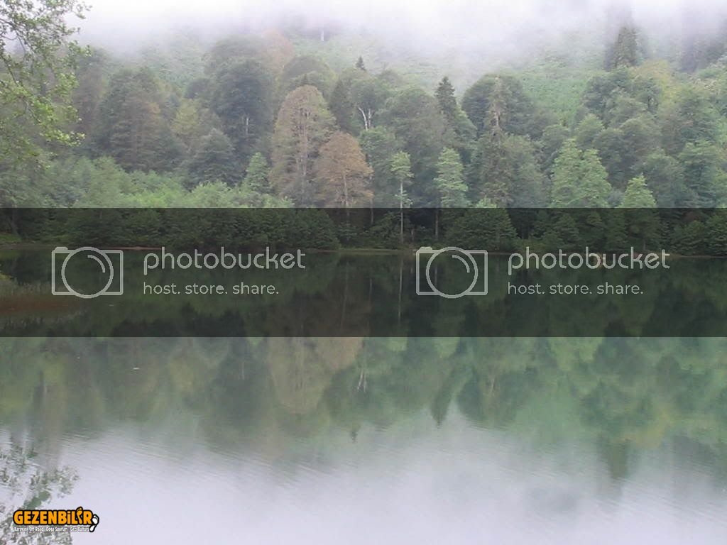 IMG_0316.jpg IMG_0316.jpg