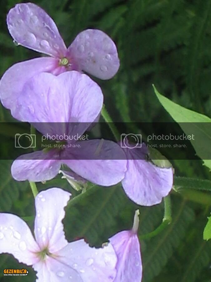 IMG_0317.jpg IMG_0317.jpg