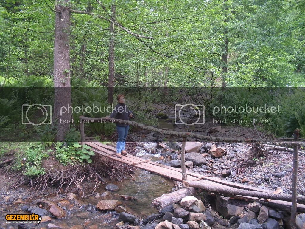 IMG_0319.jpg IMG_0319.jpg