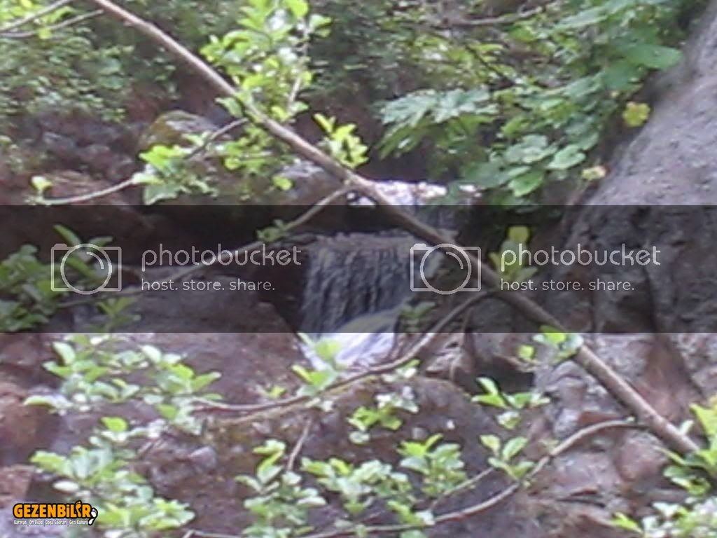 IMG_0322.jpg IMG_0322.jpg