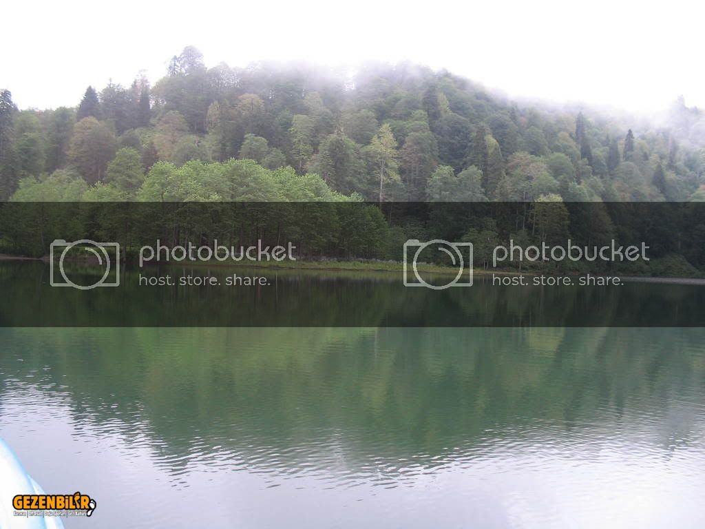 IMG_0335.jpg IMG_0335.jpg