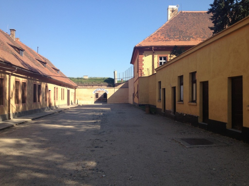 IMG_0335 (Large).JPG