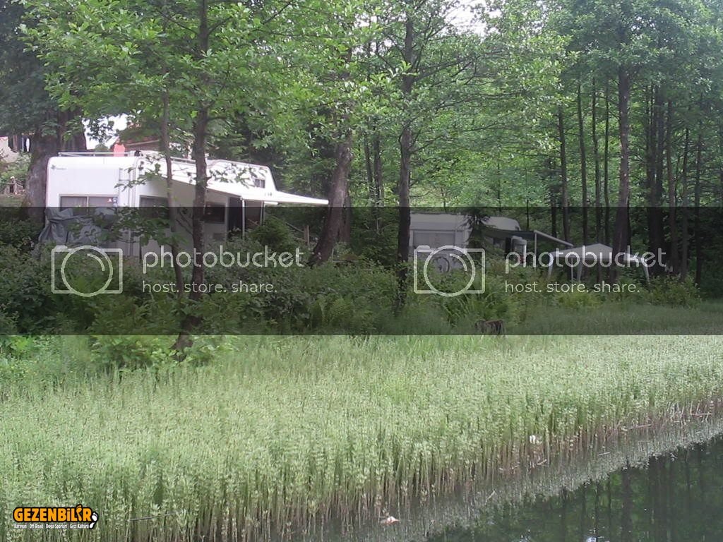 IMG_0339.jpg IMG_0339.jpg