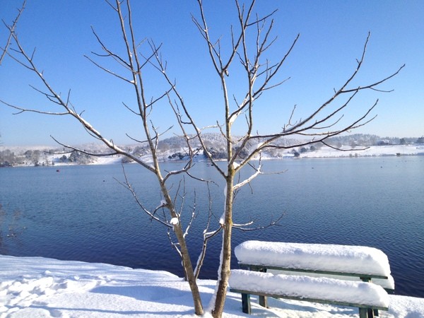 IMG_0367.JPG IMG_0367.JPG