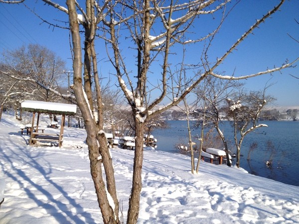 IMG_0370.JPG IMG_0370.JPG