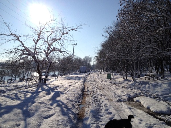 IMG_0380.JPG IMG_0380.JPG