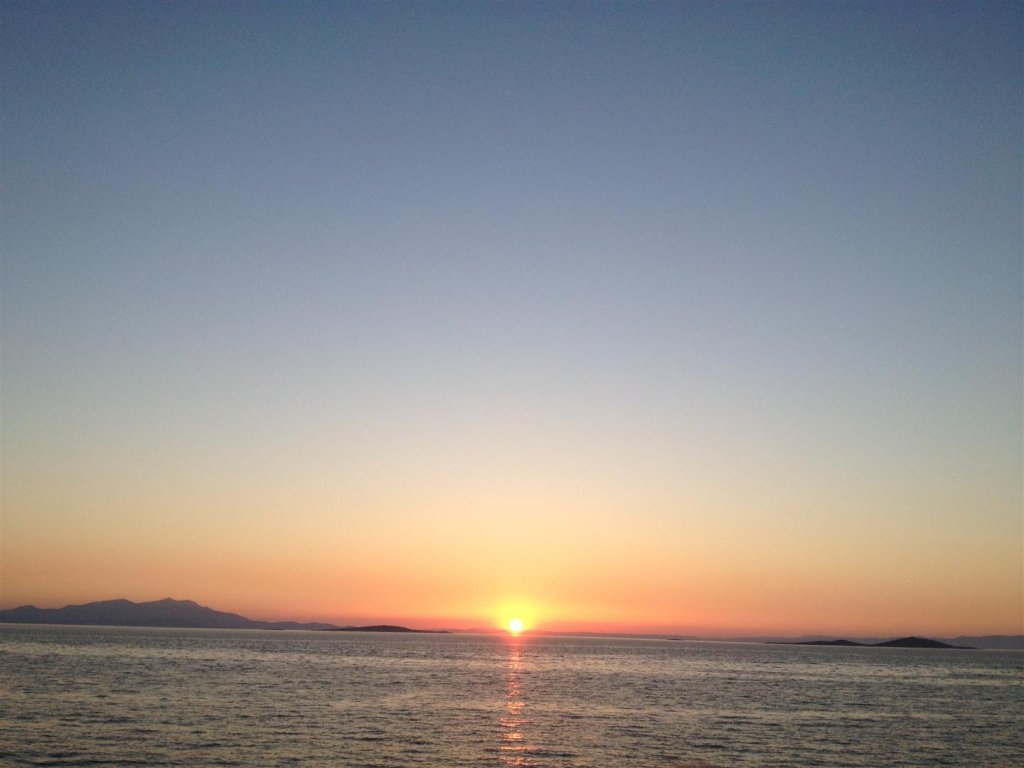 IMG_0393 (2) (Large).JPG