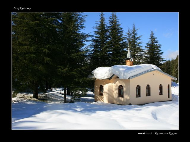 IMG_0553   n.jpg    G.jpg