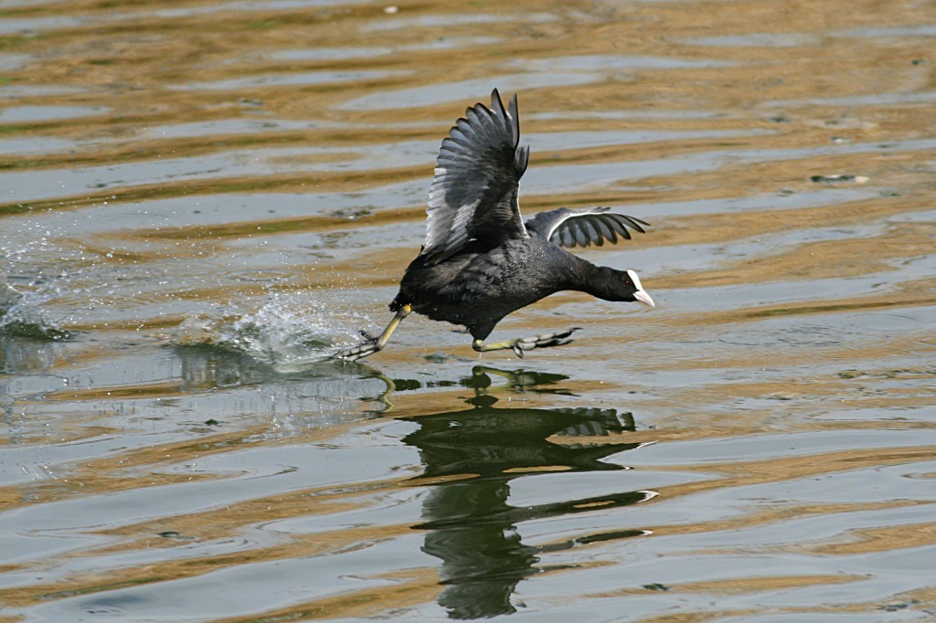 IMG_0777.JPG IMG_0777.JPG