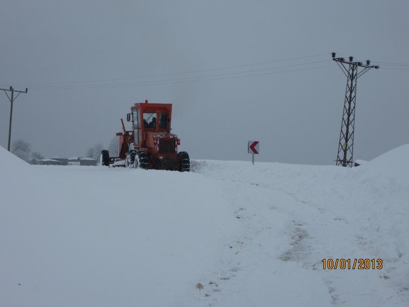 IMG_0880 (800x600).jpg