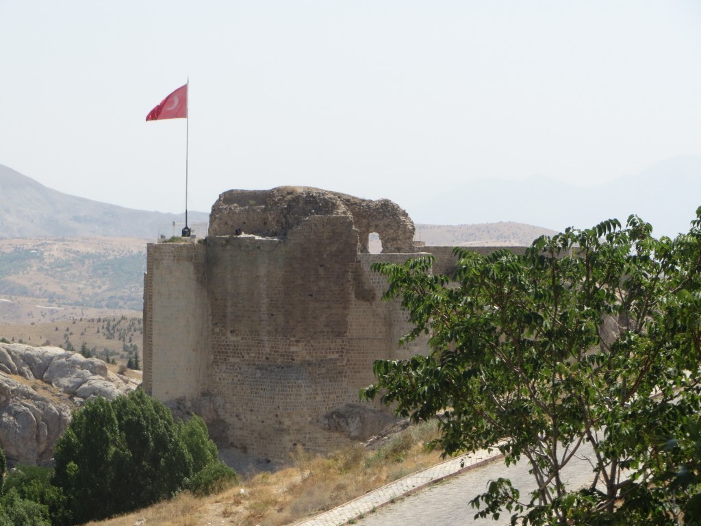 IMG_0880.JPG