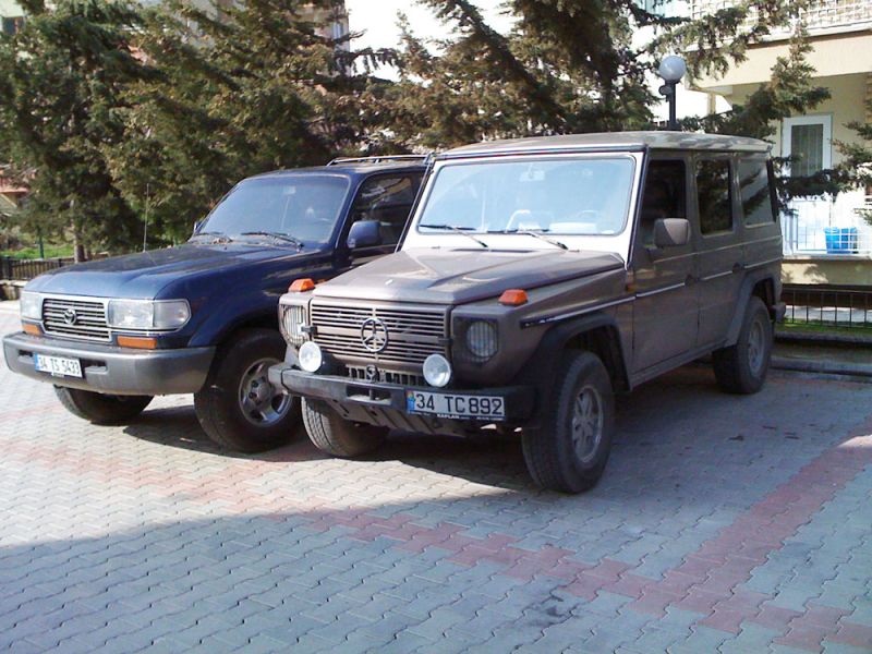 IMG_1168.jpg