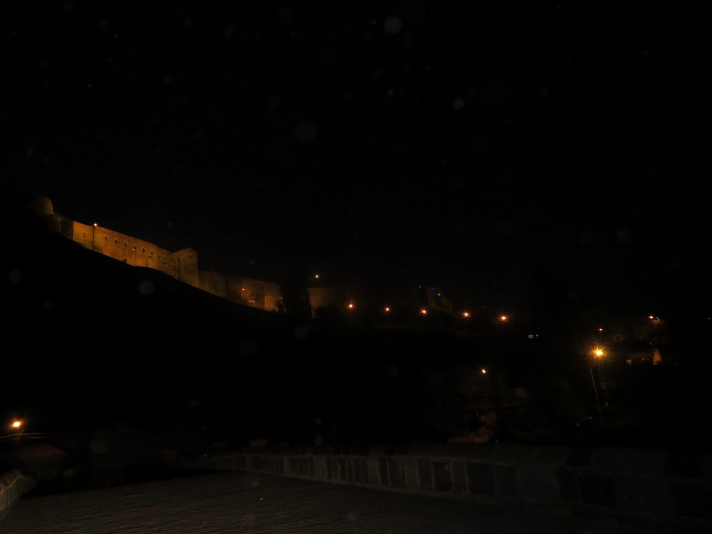 IMG_1239.JPG
