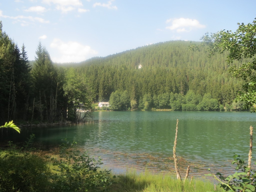 IMG_1308.JPG
