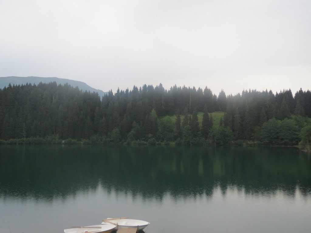 IMG_1363.JPG