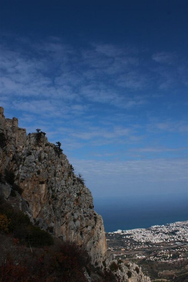 IMG_1368 (Large).jpg