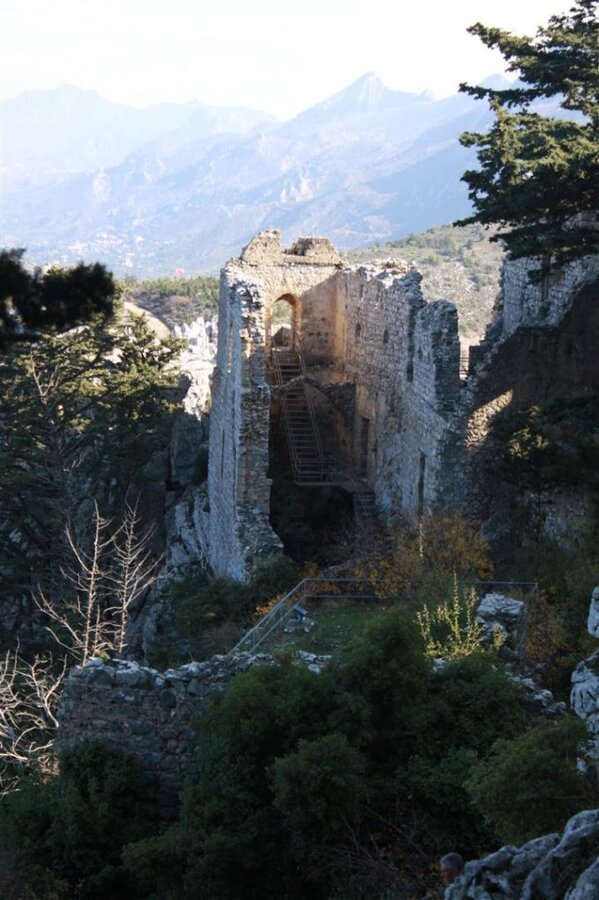 IMG_1391 (Large).jpg