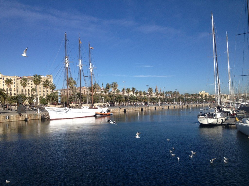 IMG_1414 (Large).JPG